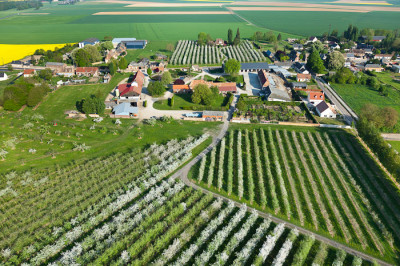 France, Haute-Normandie, Eure (27), Boisemont, Domaine de Frenelles, le Pressoir d'Or, producteur de cidre normand (vue aérienne) //