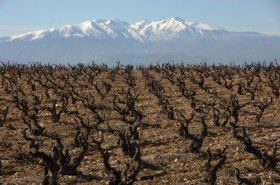 domaine de l'Arca